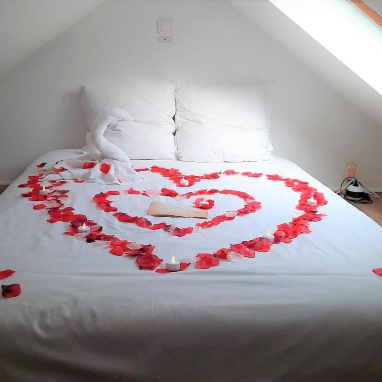 Litchi lovely loft with AC rue du Paquier - Studio-Apartment - 17