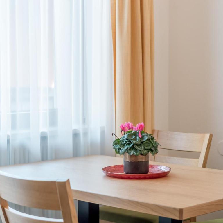 Apart Hotel Garni Wieser - Großes Apartment mit 1 Schlafzimmer und Balkon - 5