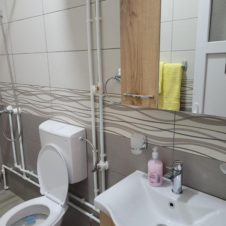 Apartmani Zvezdana - Standardni Trokrevetni Studio - 11