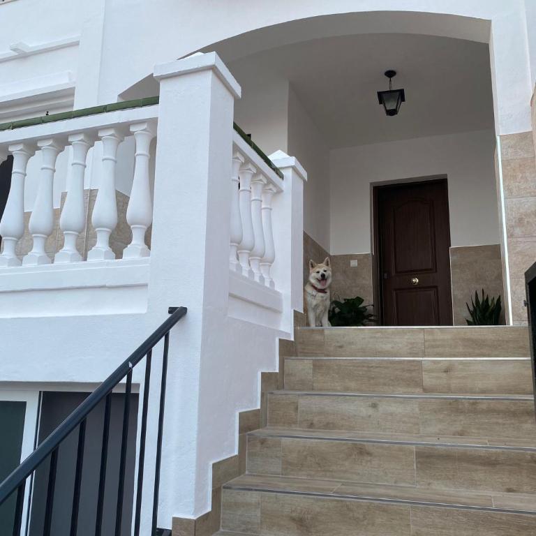 Villa Jara 25 - Casa de 3 dormitorios - 9