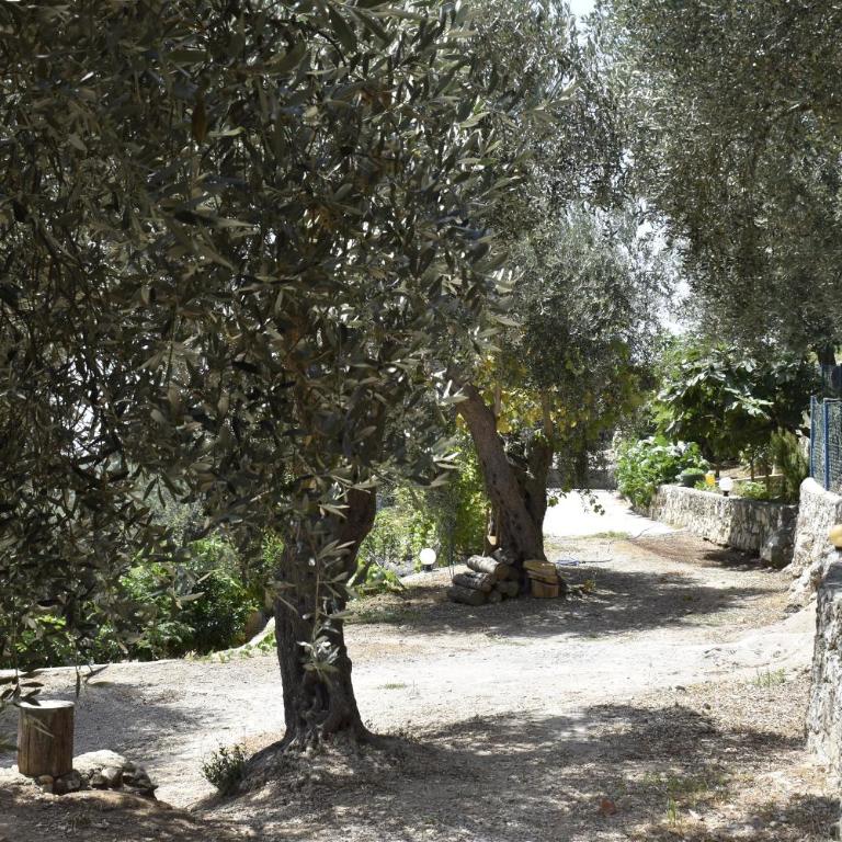 Hidden Olive Oasis - Apartment mit 1 Schlafzimmer - 32