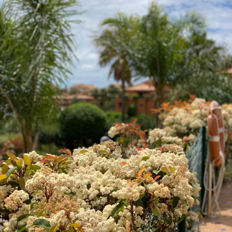 Your Oasis of Luxury and Leisure at Gazules Del Sol in Marbella area - Benahavis - Two-Bedroom Apartment - 43