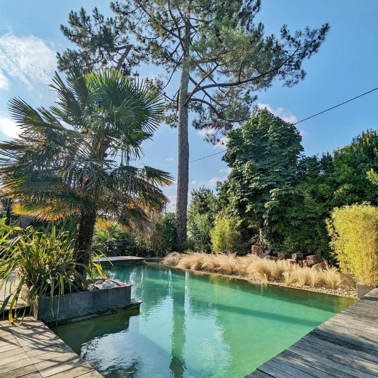 Fare Bambou - Appartement - 7