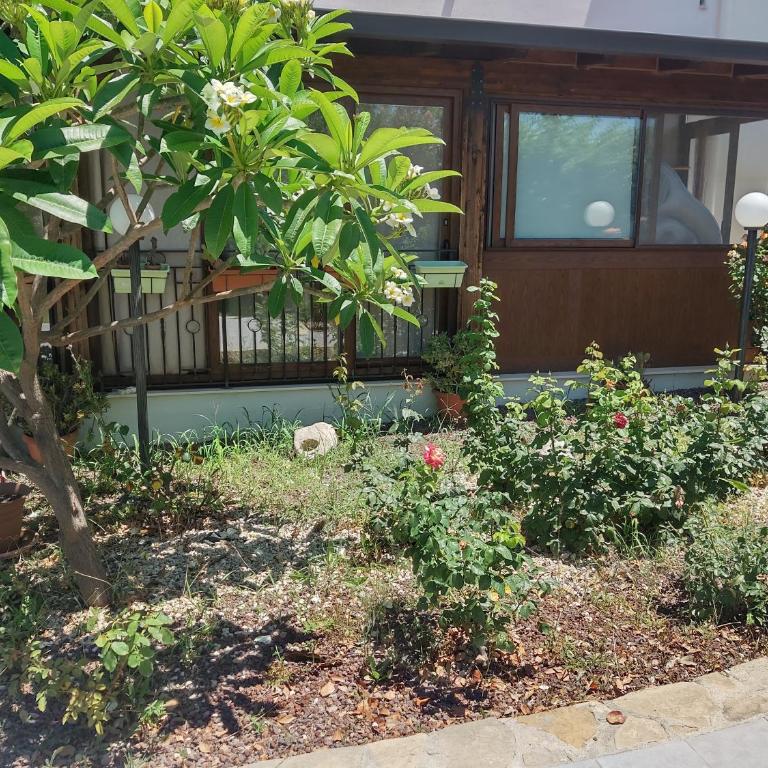 Casa Vacanze Villa Pomelia - Casa con 3 Camere da Letto - 3