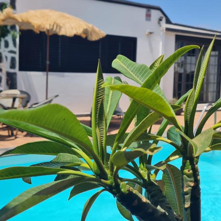Boutique Boho Glam Villa With Private Pool - Villa de 2 dormitorios - 27