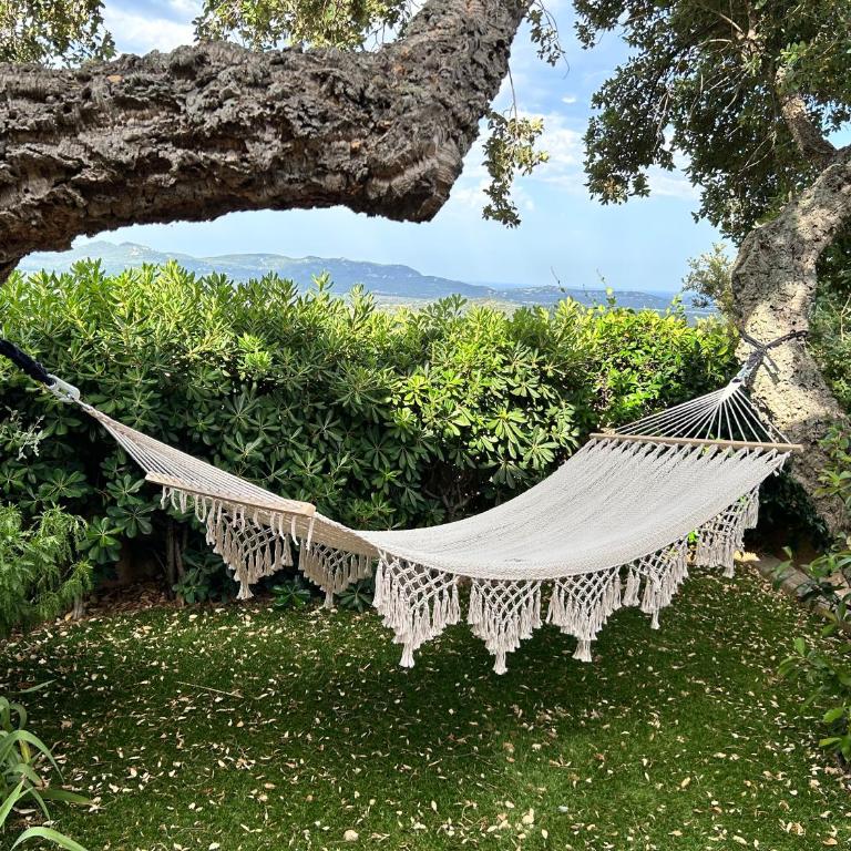 Magnifique villa avec piscine, splendide vue mer. - Villa - 7