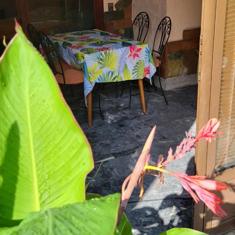 LENA Apartman 45m2 Sokobanja-CENTAR - Apartman sa 2 Spavaće Sobe - 18