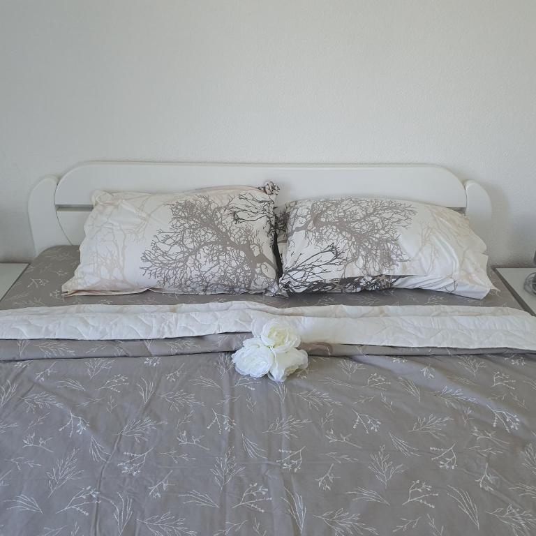 Villa Blanca - One-Bedroom Apartment - 1