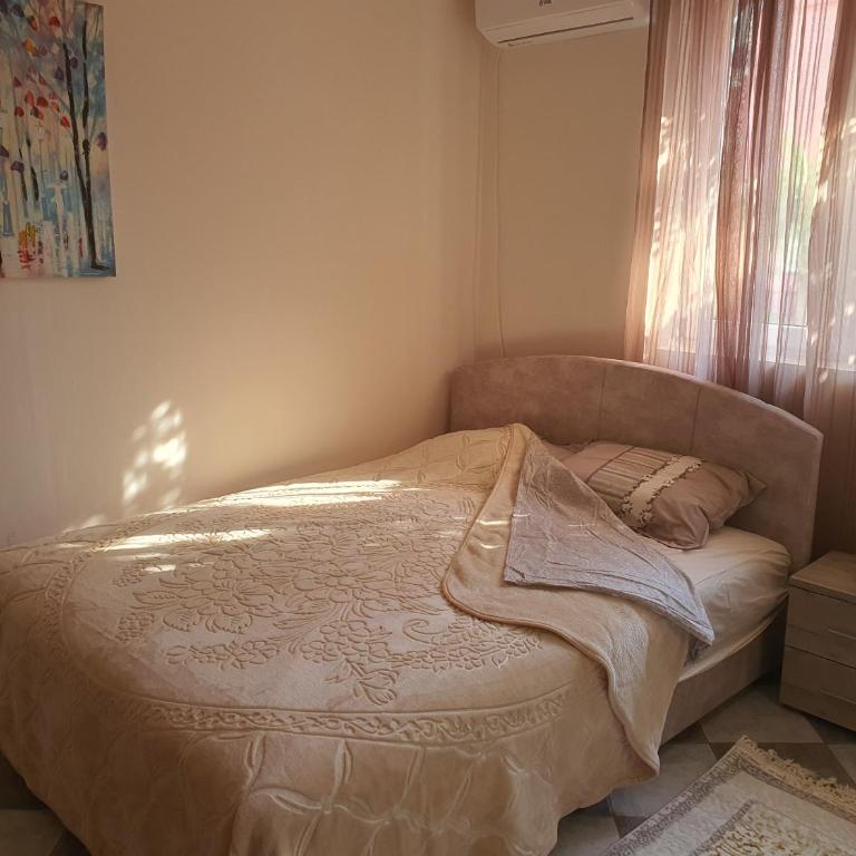 Villa Blanca - One-Bedroom Apartment - 2