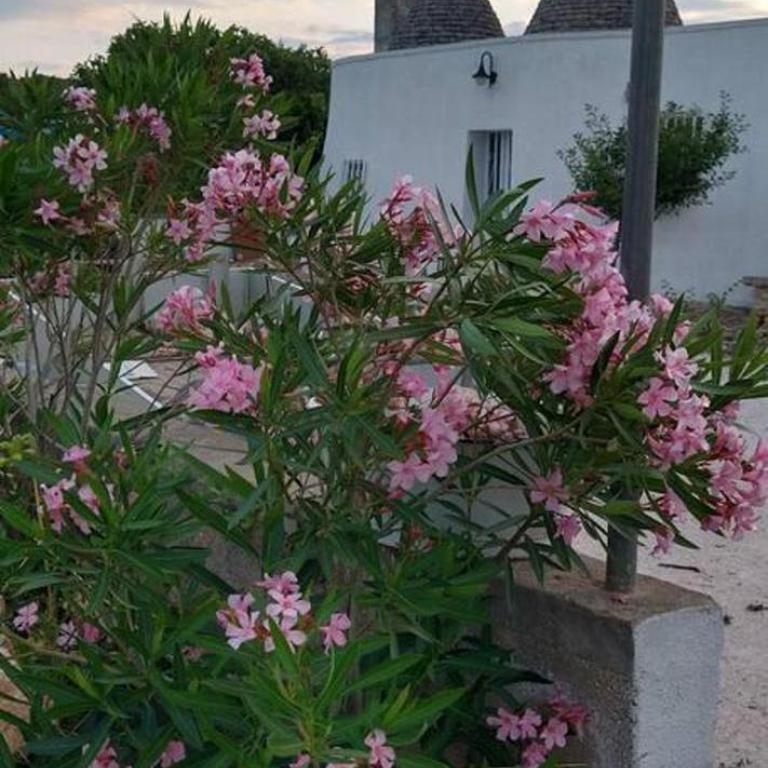 Villa - Sleeps 8 - Patio - Garden - Parking - Villa con 3 Camere da Letto - 14