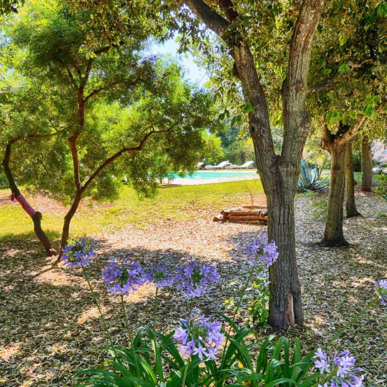 Villa Patty. - Villa con 3 Camere da Letto - 19