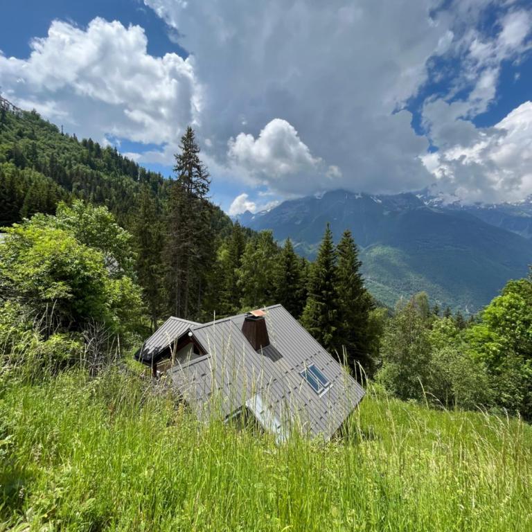 Chalet Oz en Oisans Station - Alpe d'Huez - Chalet - 25
