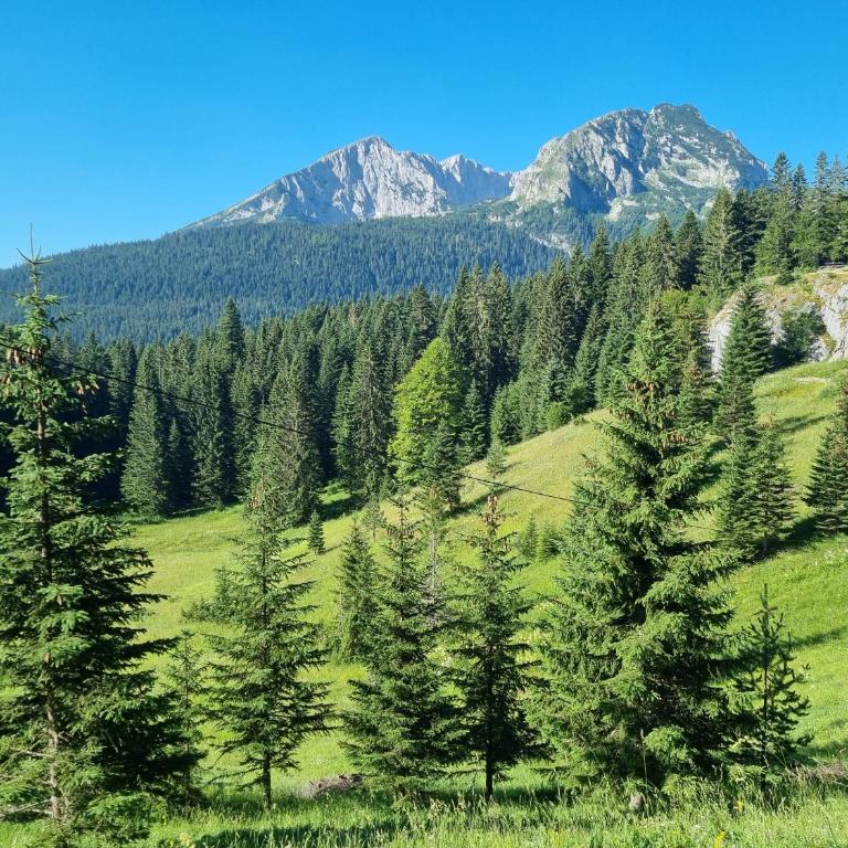 Black Lake Chalet-300m from Black Lake,Durmitor - One-Bedroom House - 69