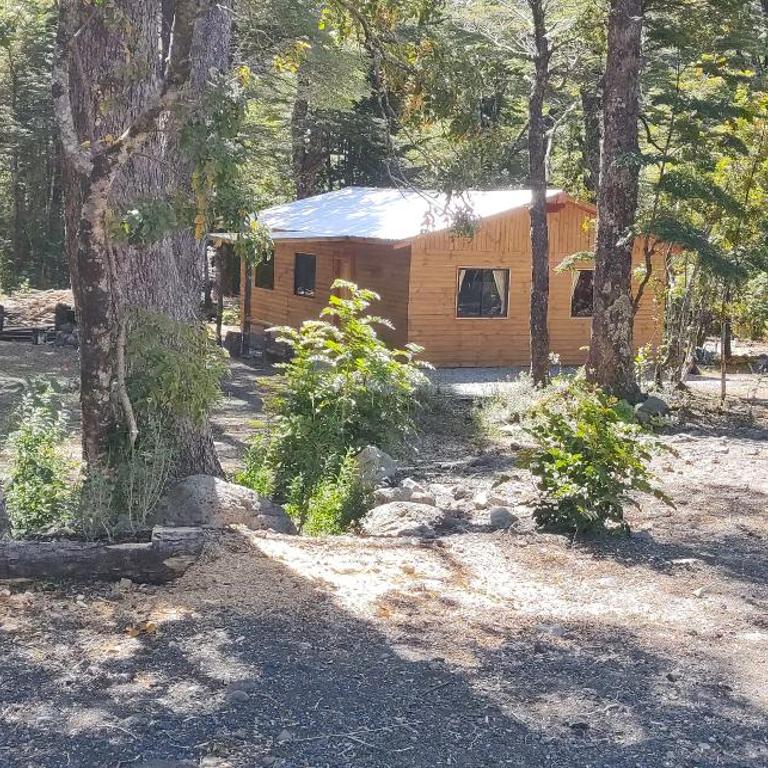 Cabañas El Cerduo Pucon montaña - One-Bedroom Chalet - 3
