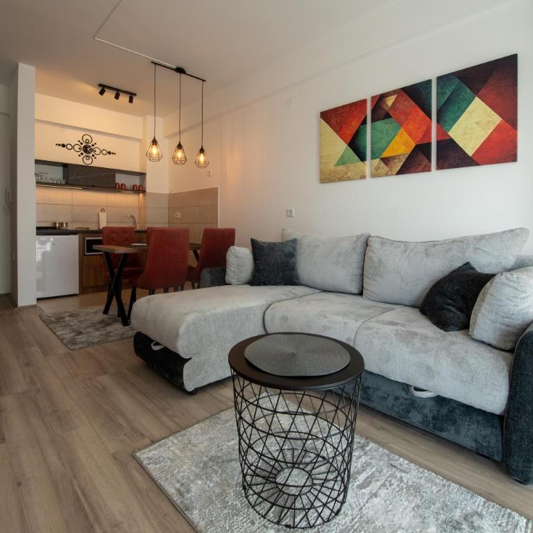 Petković apartmani 48 - Deluks Apartman - 6
