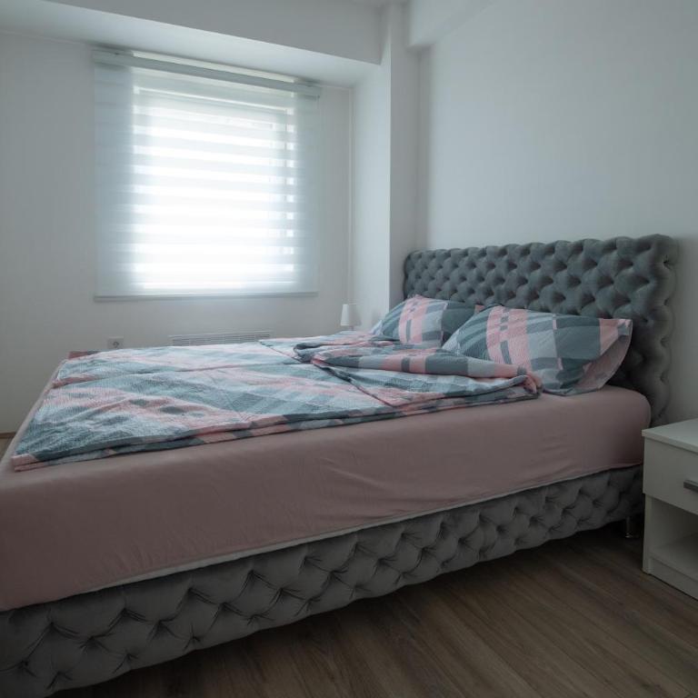 Petković apartmani 48 - Deluks Apartman - 19