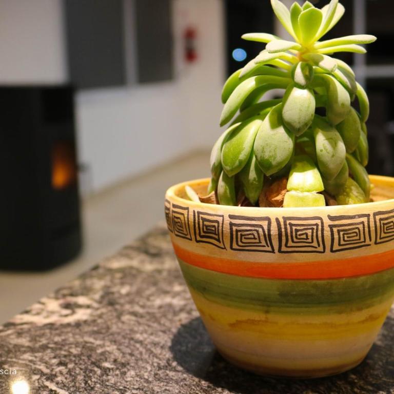 Anubis - Deluxe Quadruple Room - 63