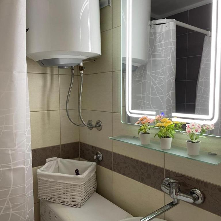 Tesla View Apartment - Apartman sa 1 Spavaćom Sobom - 28