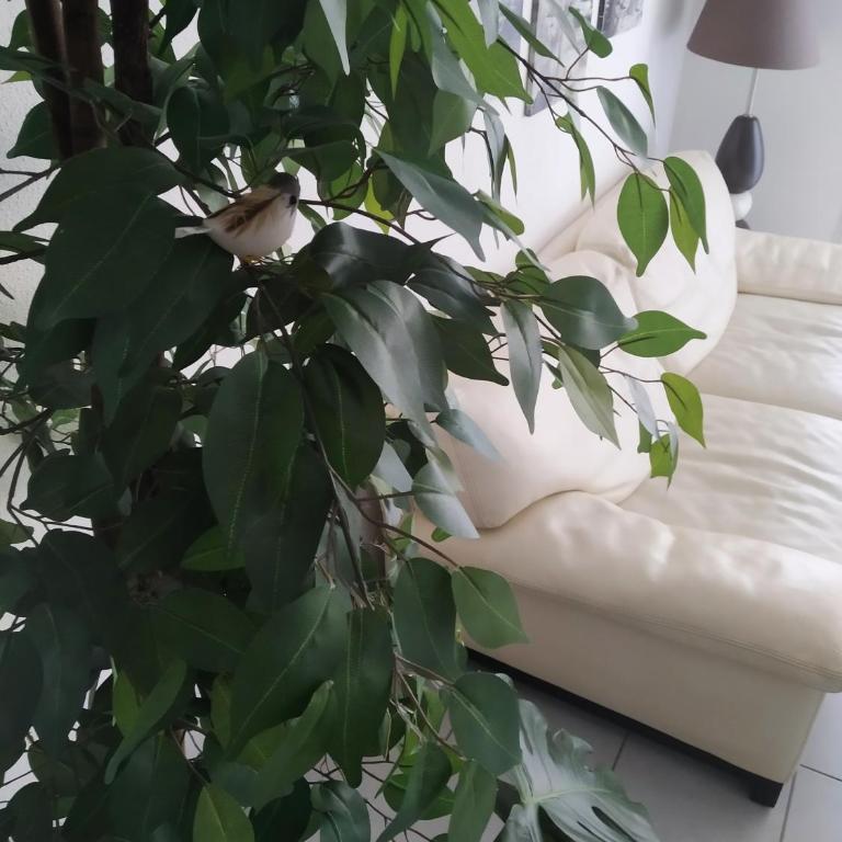 A Poitiers, 2 chambres, très bel appartement de 65 m2 - Appartement 2 Chambres - 10