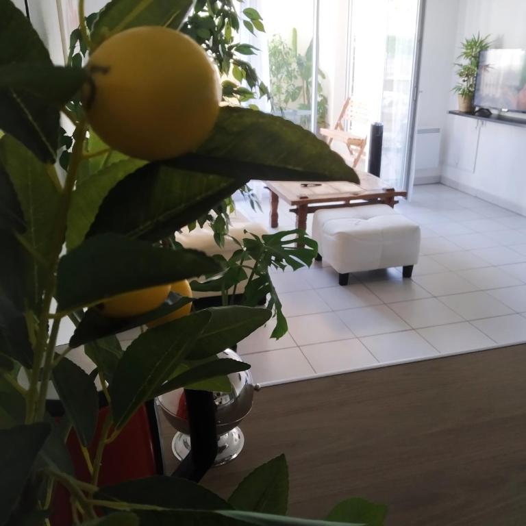 A Poitiers, 2 chambres, très bel appartement de 65 m2 - Appartement 2 Chambres - 4
