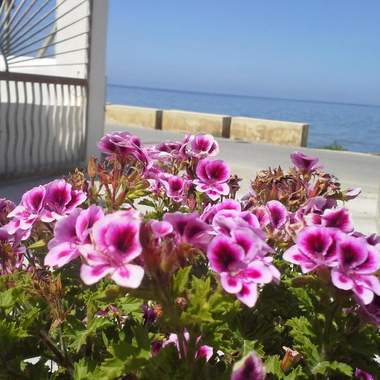 Sunrise Stagnone - Relax Sea Rooms - Triple Room with Balcony and Sea View - 11