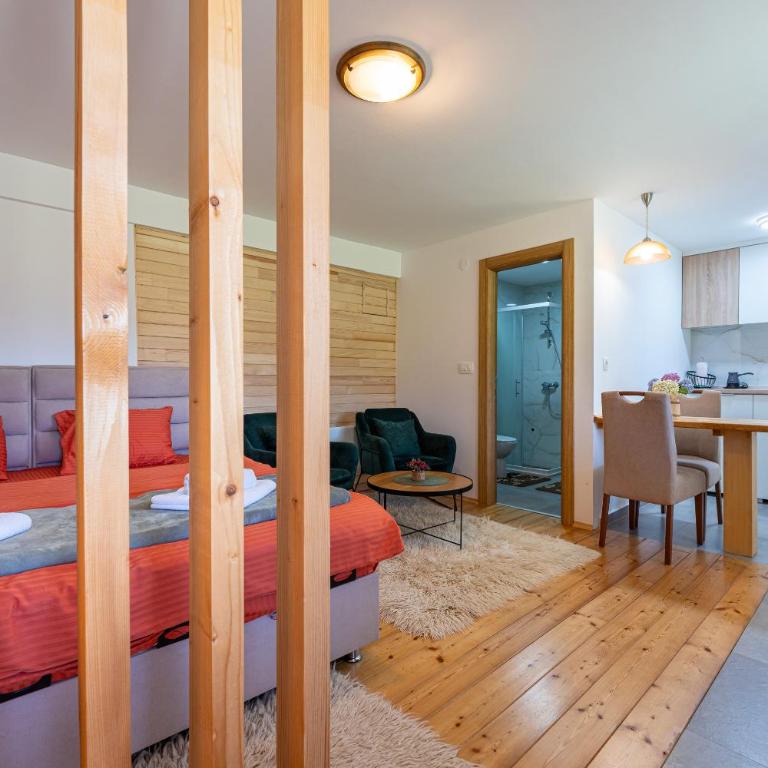 Apartments CENTER OF THE WORLD - Studio sa Pogledom na Planinu - 5