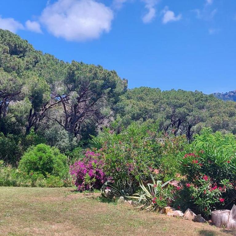 Villetta Giada - Casa con 1 Camera da Letto - 5