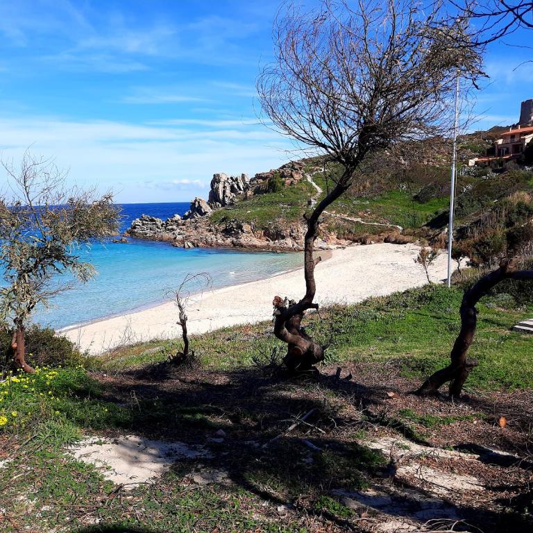 La Residenza del Porto - Casa con 2 Camere da Letto - 4