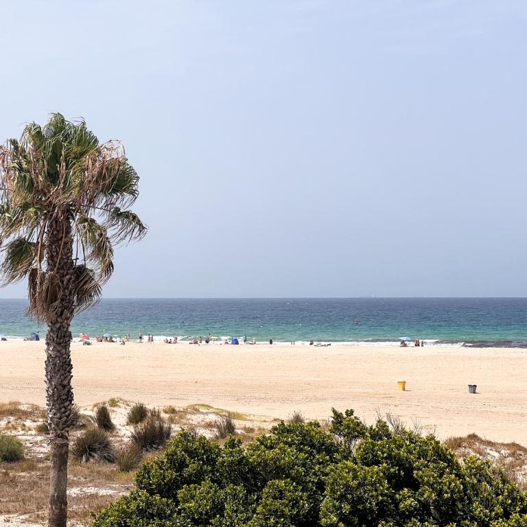 Tarifa Cozy House - Soul Home - Apartamento de 2 dormitorios - 4