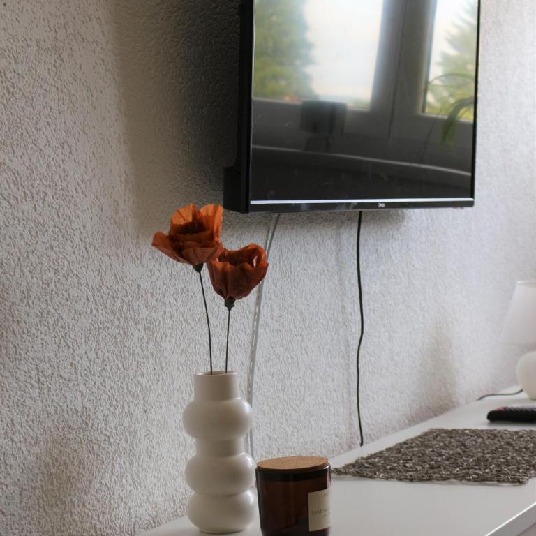 Blue Apartment - Apartman sa 1 Spavaćom Sobom - 12