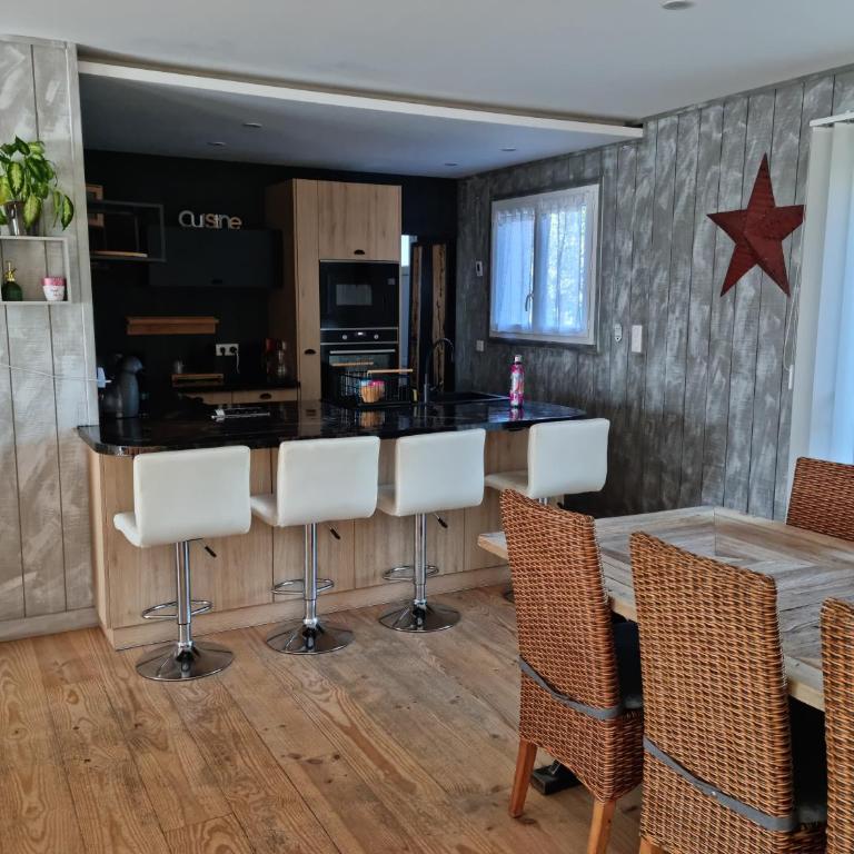 Villa climatisée avec piscine à LEGE CAP FERRET - Villa - 6