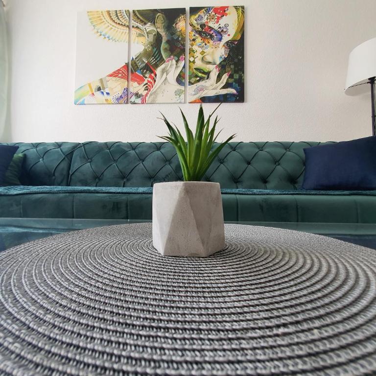 Apartman DANA - Apartman sa 1 Spavaćom Sobom - 14