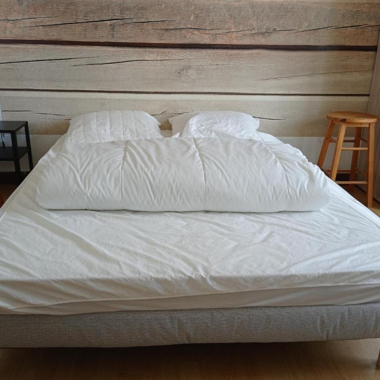 Appartement duplex avec cour 10 pers - Appartement 3 Chambres - 20