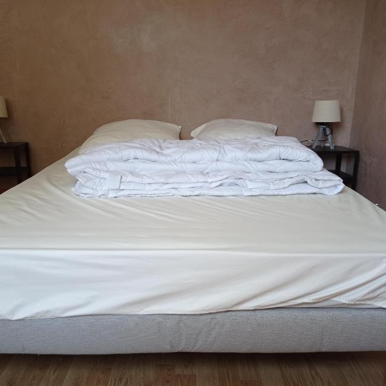 Appartement duplex avec cour 10 pers - Appartement 3 Chambres - 25