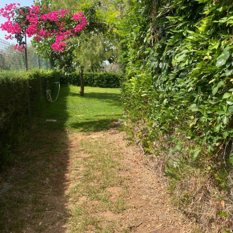 Agriturismo Il Piccolo Lago - Appartement - Vue sur Jardin - 52