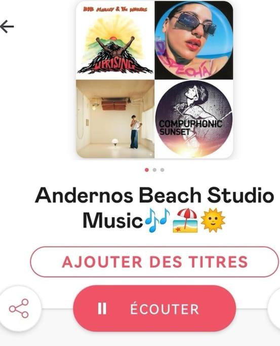 Andernos Beach Studio - Studio - Vue sur Piscine - 13