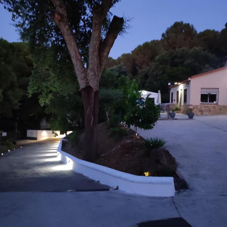 EL RINCON DE ANGELA - Casa de 3 dormitorios - 29