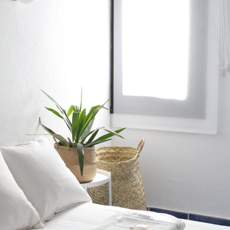First line in Puerto Banus (Primera linea) - Apartamento de 2 dormitorios - 12