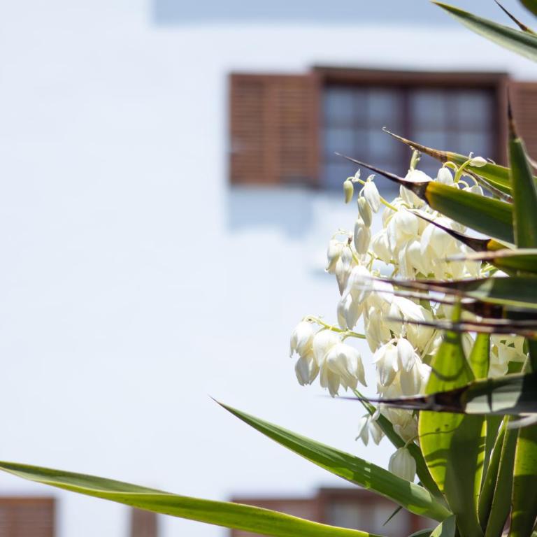 Villa Iseo - Three-Bedroom Villa - 43