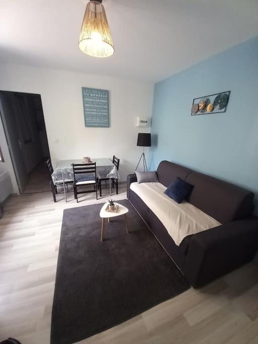 Résidence de l'évèché 7 - Appartement 1 Chambre - 8