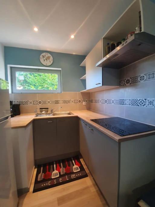 Résidence de l'évèché 7 - Appartement 1 Chambre - 14