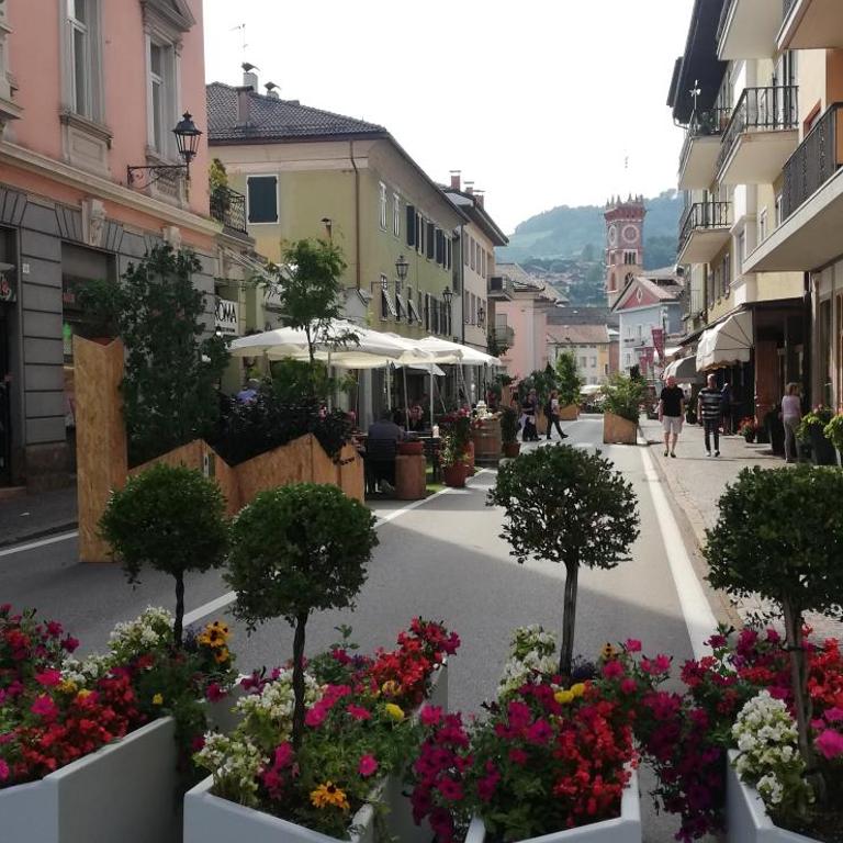 Appartamento "Roby" in centro Cavalese - Appartamento con 2 Camere da Letto - 60