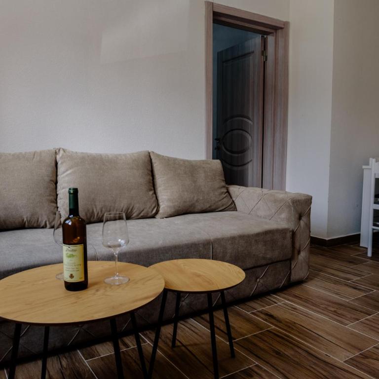 Premium Apartments - One-Bedroom Apartment - 1