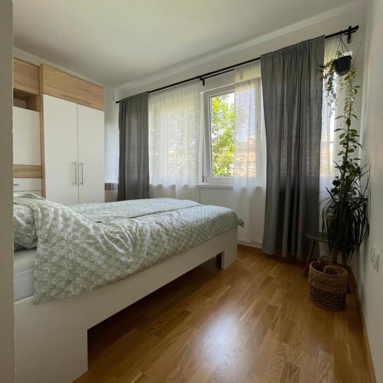 Wild Green - Apartman sa 2 Spavaće Sobe - 11