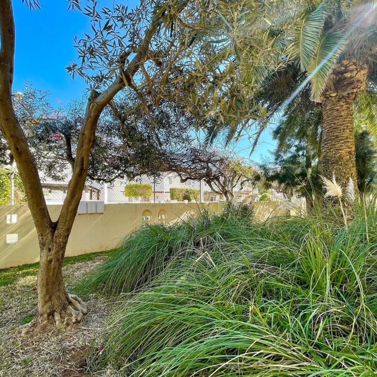 Apartment by Roquetas Beach - Two-Bedroom Apartment - 32