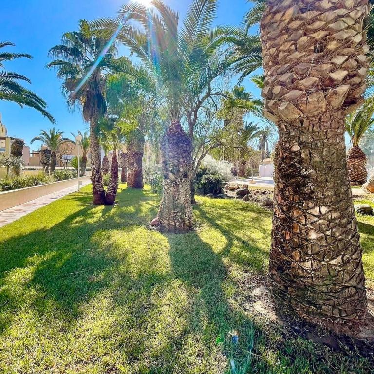 Apartment by Roquetas Beach - Two-Bedroom Apartment - 18