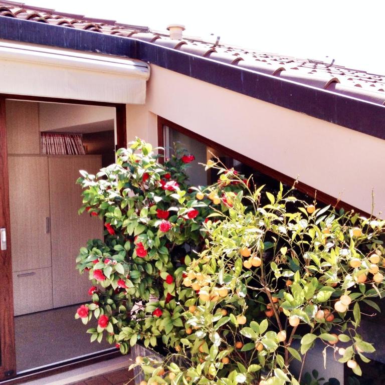 La Terrazza sull'Arena - Appartamento con 1 Camera da Letto - 24