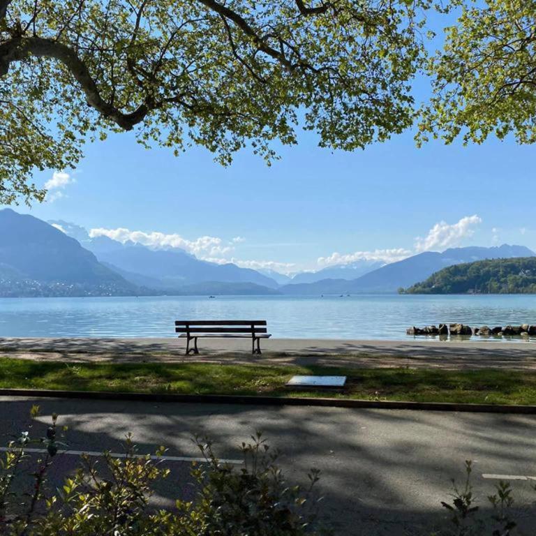 L'échappee du 36 - 4 chambres dans le Triangle d'Or à 100m du lac, parking gratuit - Appartamento Superior - 60