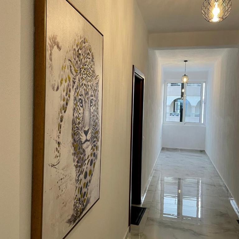 Bora Lindi Ulcinj apartments - One-Bedroom Apartment - 10