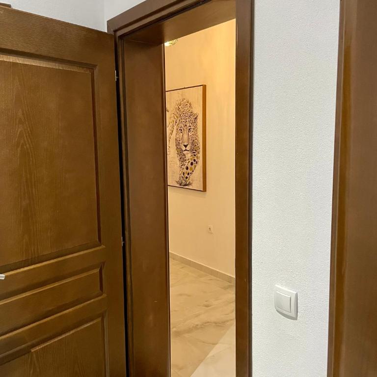 Bora Lindi Ulcinj apartments - One-Bedroom Apartment - 15